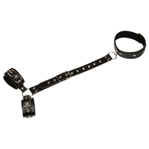 Lassy Harness - Image 6