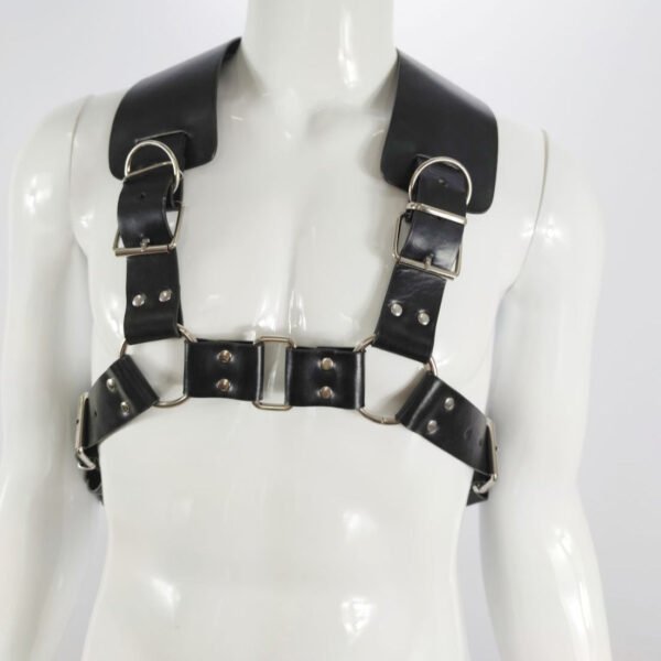 Calvin's Chest Harness - Image 2