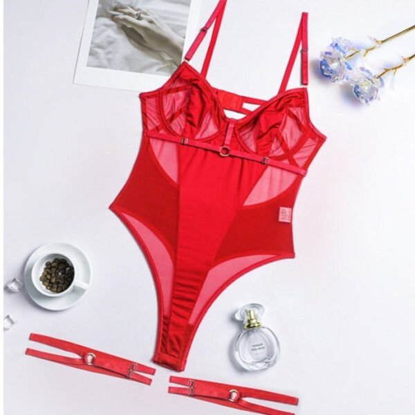 Corina's Mesh Bodysuit - Image 7