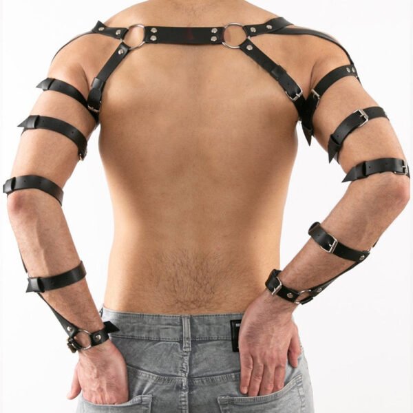 Rodrigo's Arms Harness - Image 2