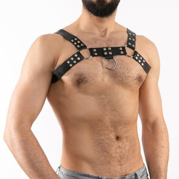 Harry's Studs Harness