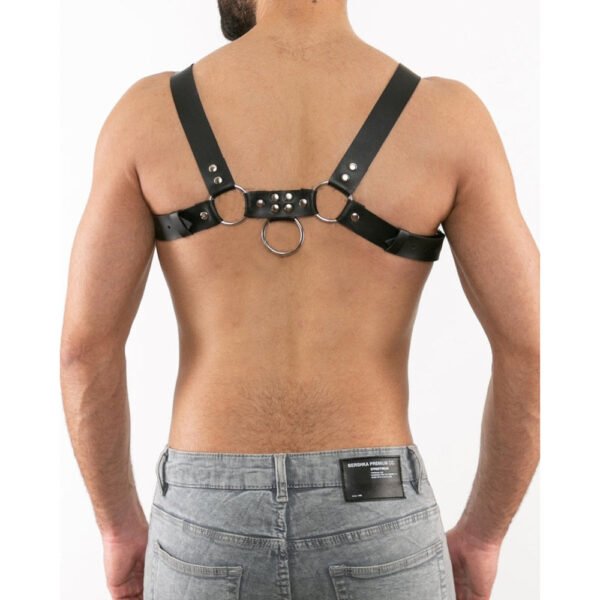 Harry's Studs Harness - Image 2