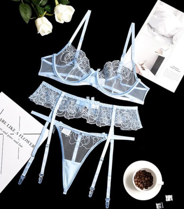 Rosie Sheer Three Piece Bra Set - Image 6